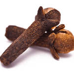 Clove_2 (1)