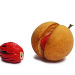 ceylon nutmeg mace raw