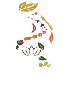 mini logo