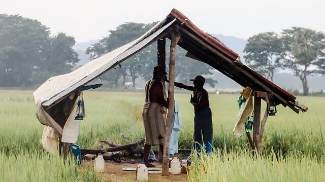 organic spices bulk1